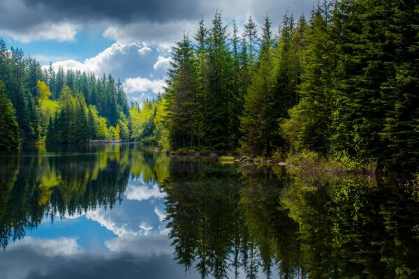 Frühlingssee mit Waldreflexion