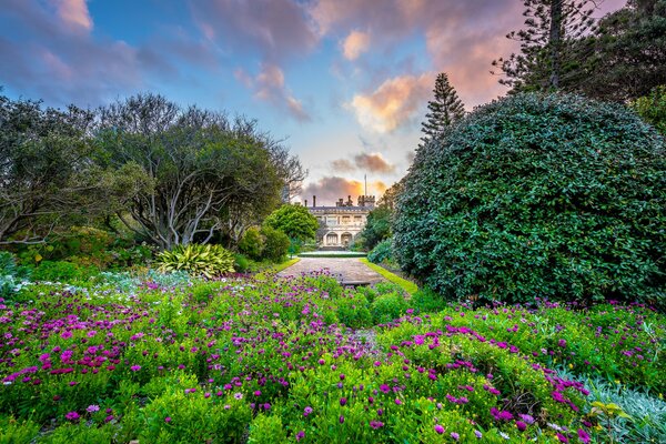 Königlicher botanischer Garten mit Blumen