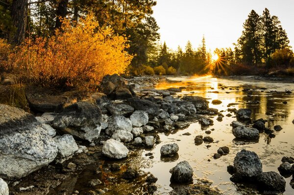 Fluss und Herbstwald im Morgengrauen