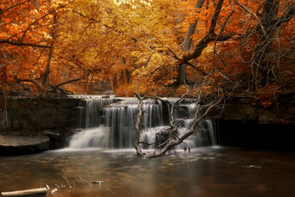 Una pequeña cascada. Naturaleza de otoño