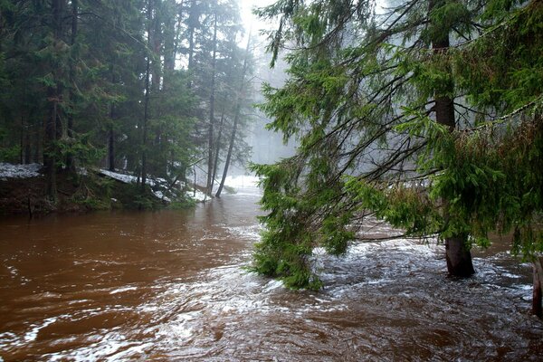 Printemps et rivière signifie déversement