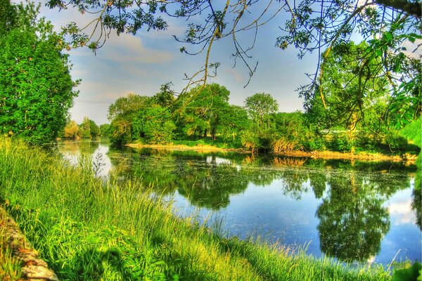 Los árboles y el cielo se reflejan en la superficie de un río tranquilo