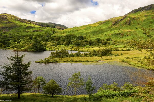 Mountain lake on the background of a summer forest