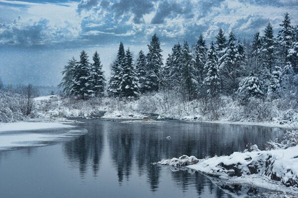 Belle forêt enneigée et lac