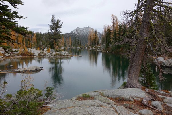 Reflection of trees and mountains in the lake