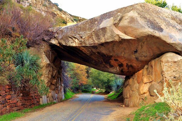 Túnel de piedra en Sequoia Park