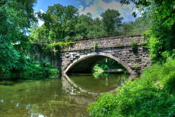 Beautiful park with a bridge in the form of an arch