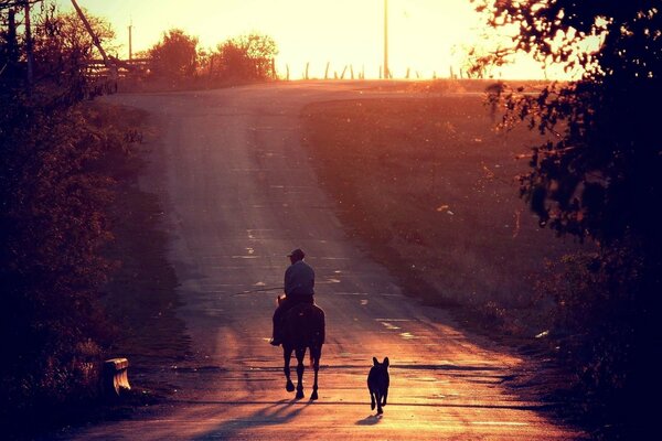 Image d un cavalier avec un chien sur un sentier