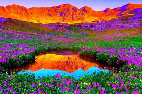 Flores en un Prado cerca del lago en el fondo de montañas brillantes