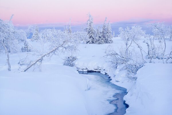 Un piccolo fiume attraverso il ghiaccio e la neve