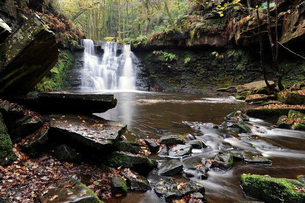 Wasserfall im Bergwald