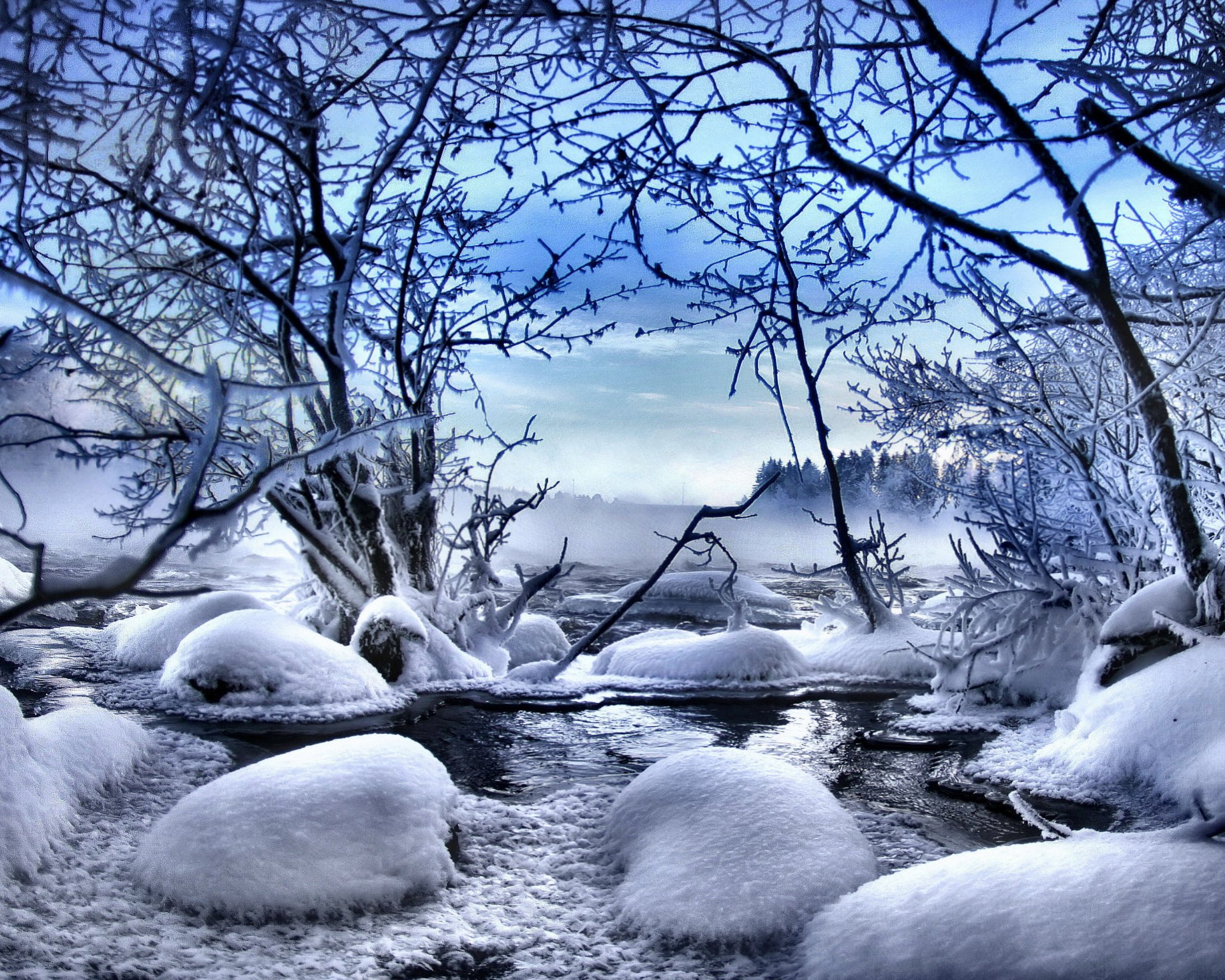 inverno natura neve albero inverno alberi