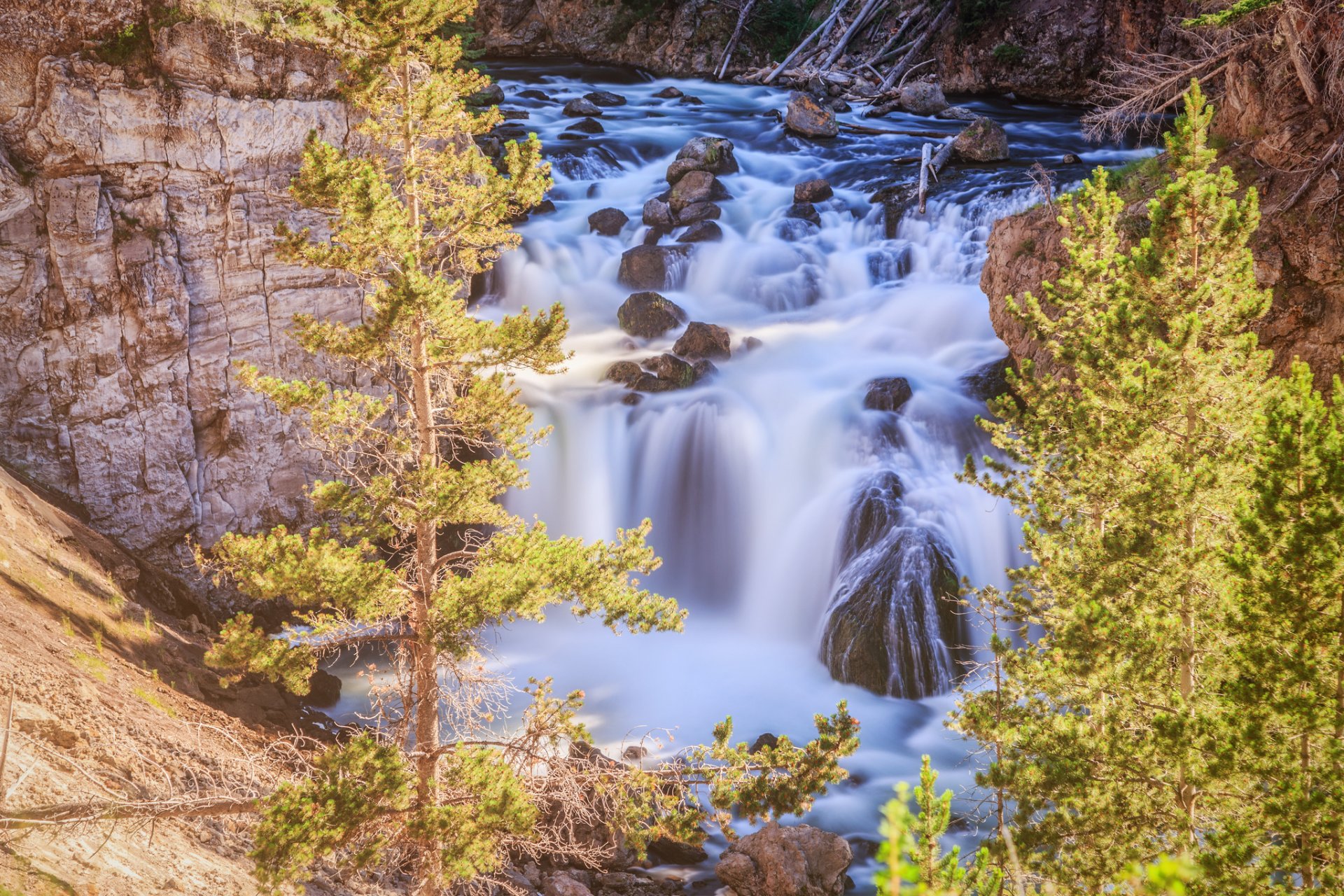 firehole falls parco nazionale di yellowstone wyoming yellowstone cascata alberi rocce rocce