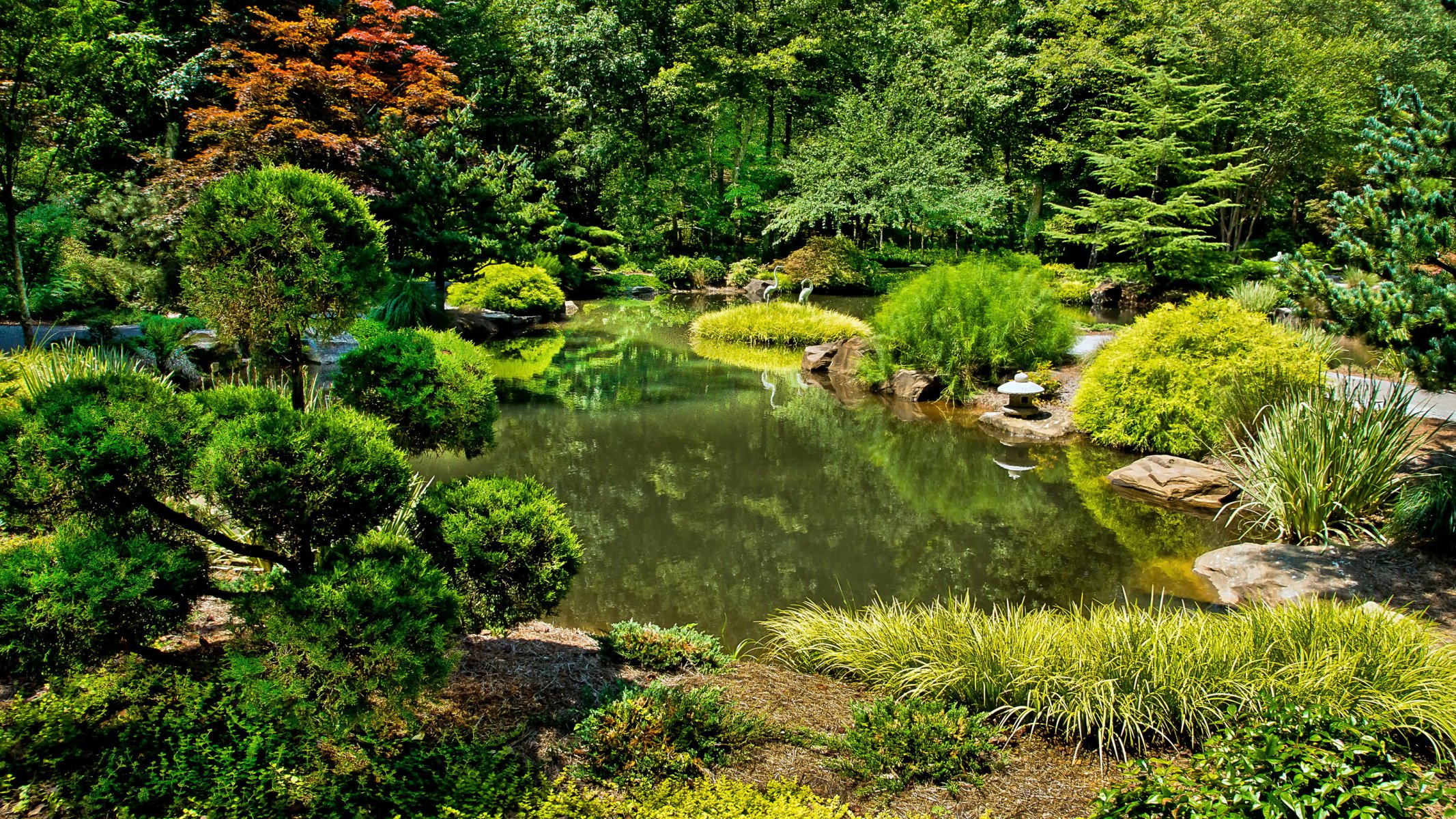 estados unidos jardín estanque gibbs jardines bola primera arbustos naturaleza foto