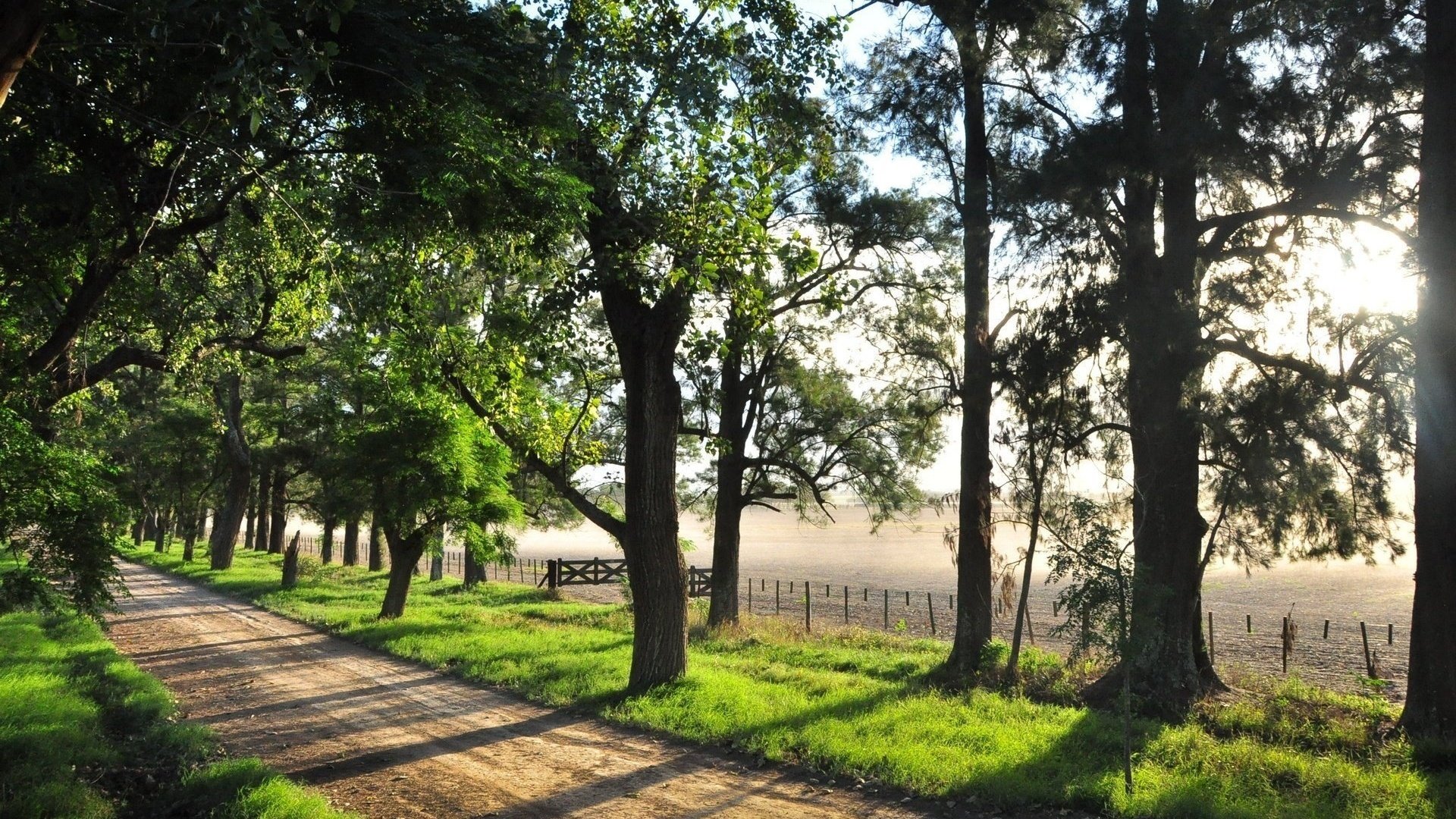 river summer tree fence road photo