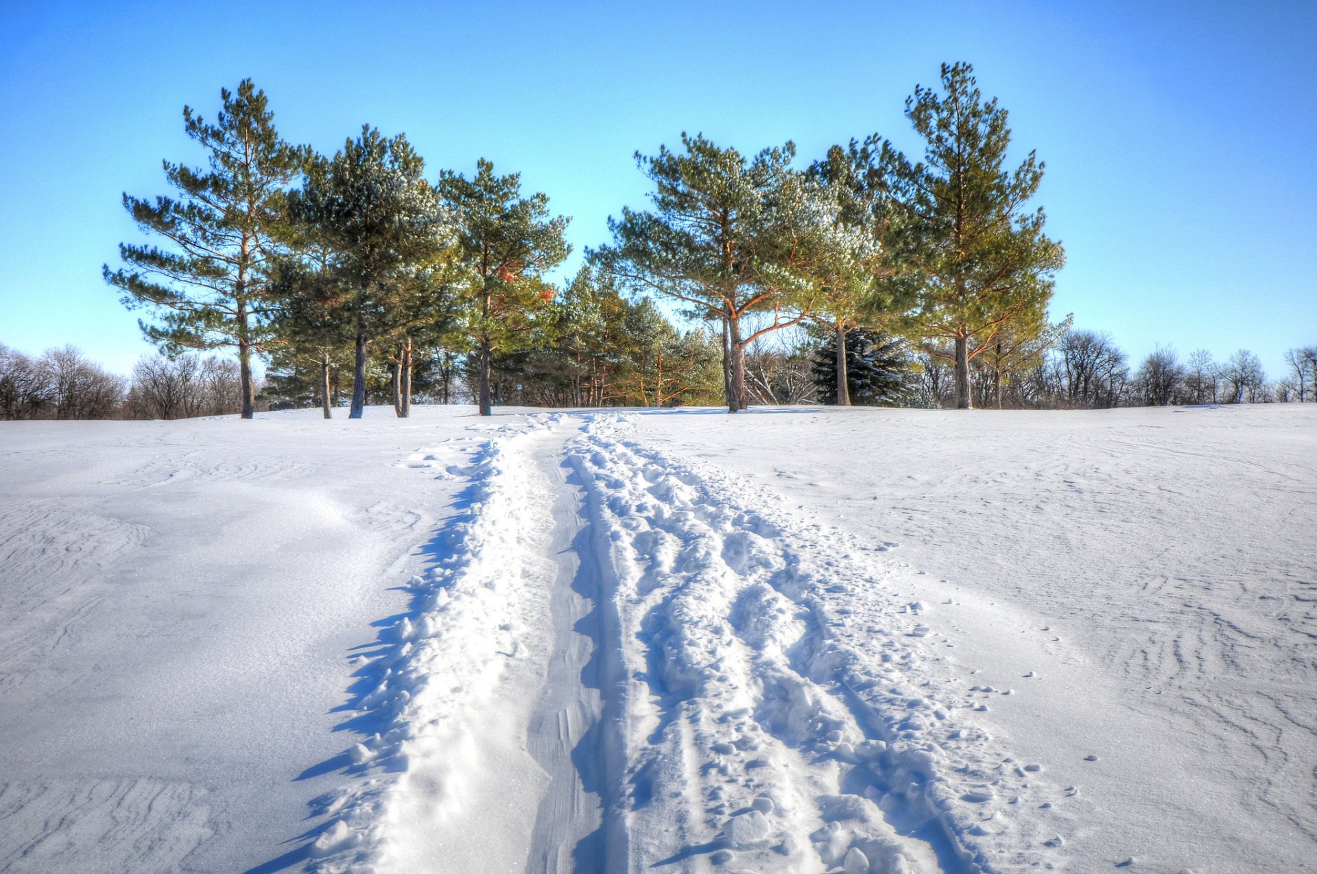 ciel hiver arbres champ neige passerelle empreinte