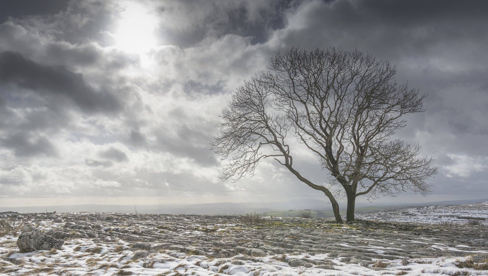 champ arbre neige nuages