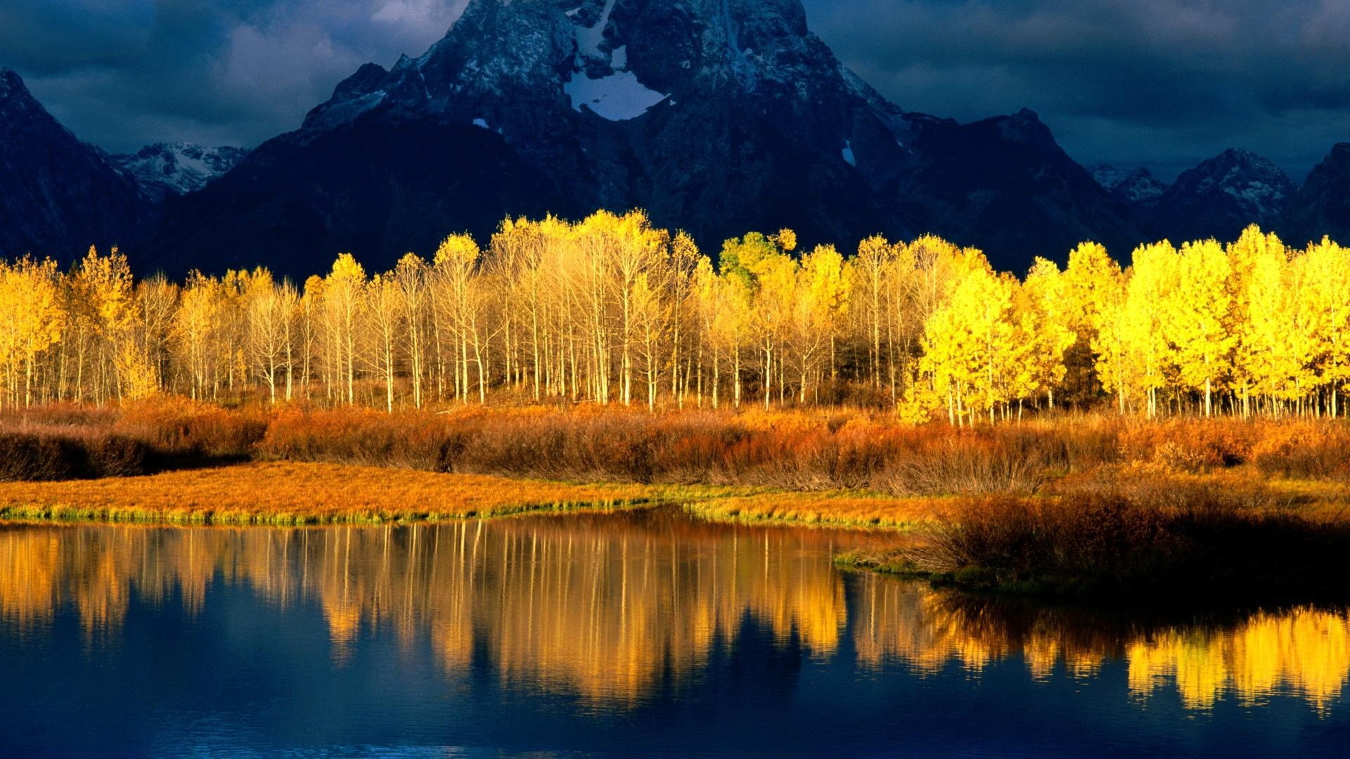 bosque árboles montañas nubes nieve cielo agua río oro reflexión