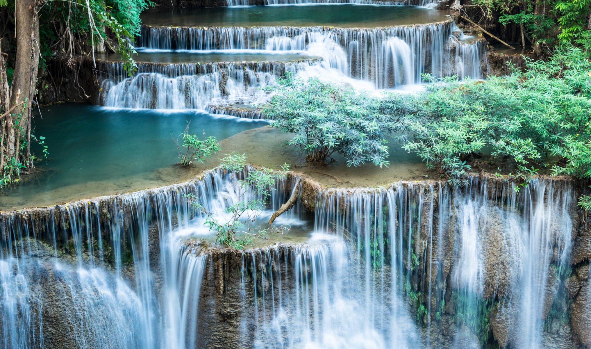 river waterfalls bush green