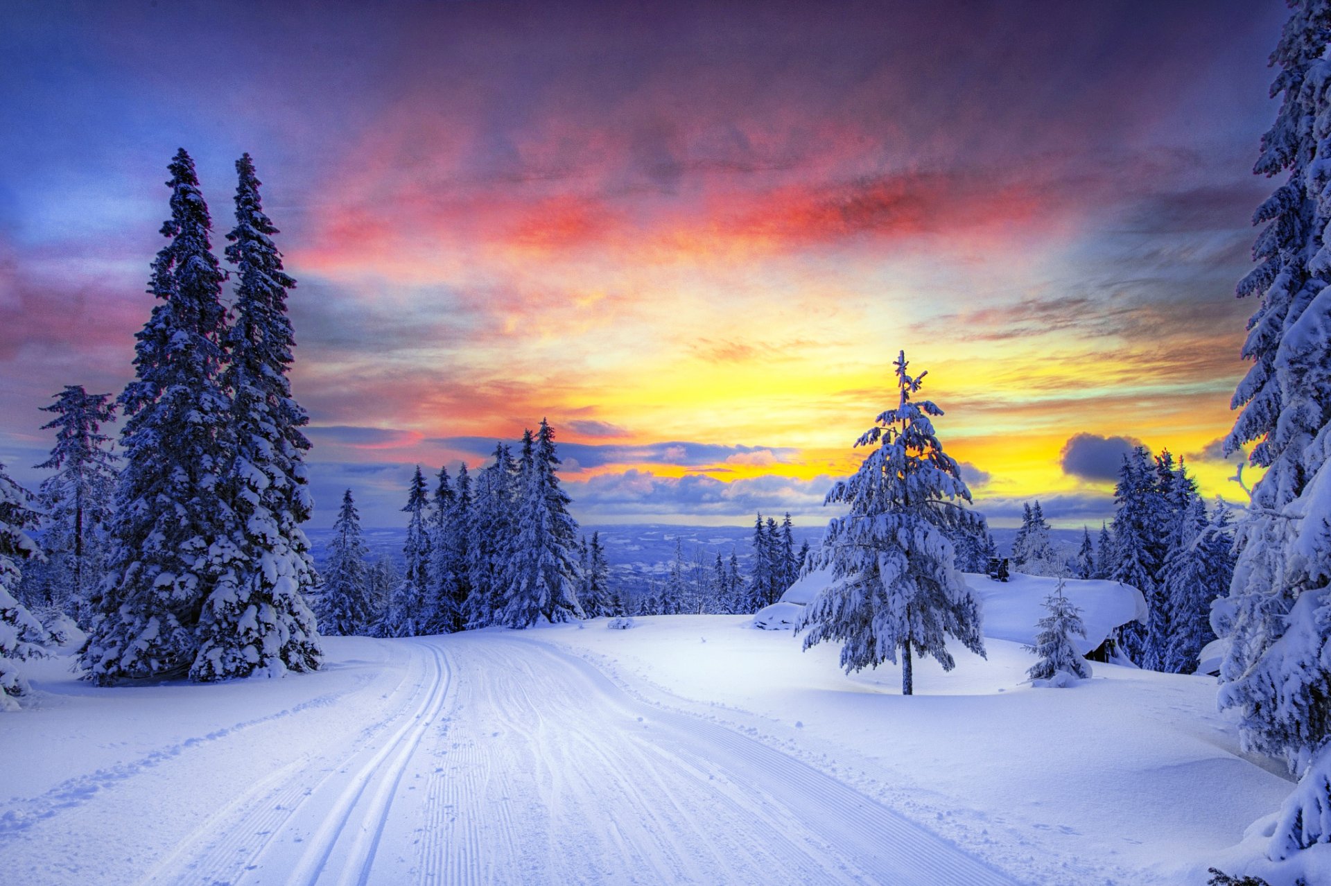 noruega invierno nieve árboles árboles de navidad bosque camino huellas puesta de sol cielo nubes montañas naturaleza