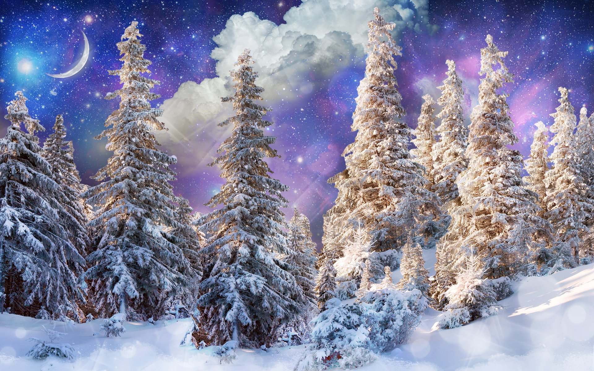 inverno foresta alberi neve sole mese stelle nuvole luci fantasia photoshop