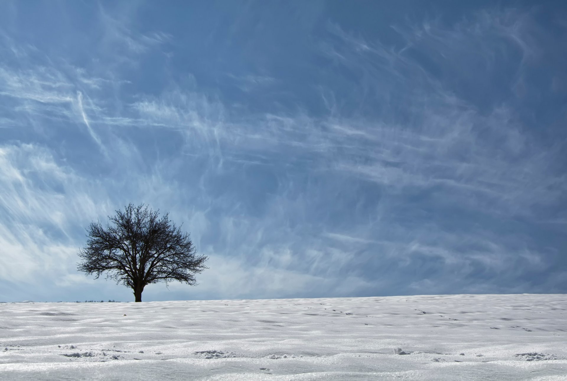 kurdistan région ethnogéographique asie arbre neige ciel