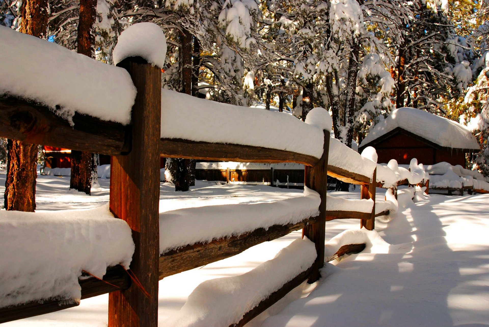 natura inverno neve cielo paesaggio inverno bianco fresco bello casa