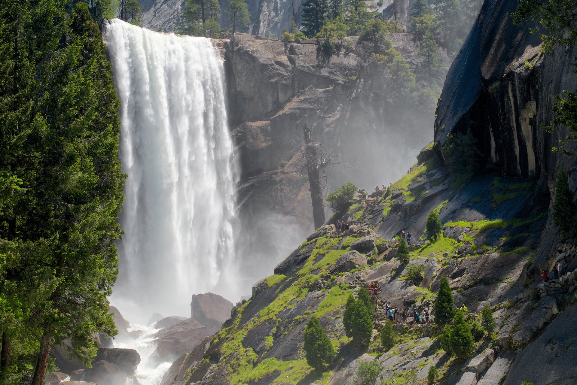 parc national de yosemite sierra nevada états-unis montagnes roches cascade arbres éclaboussures