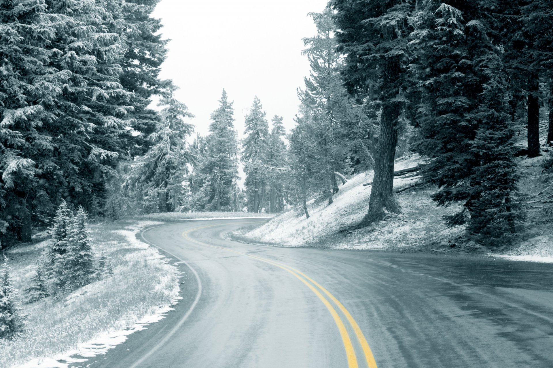 straße winter schnee wald