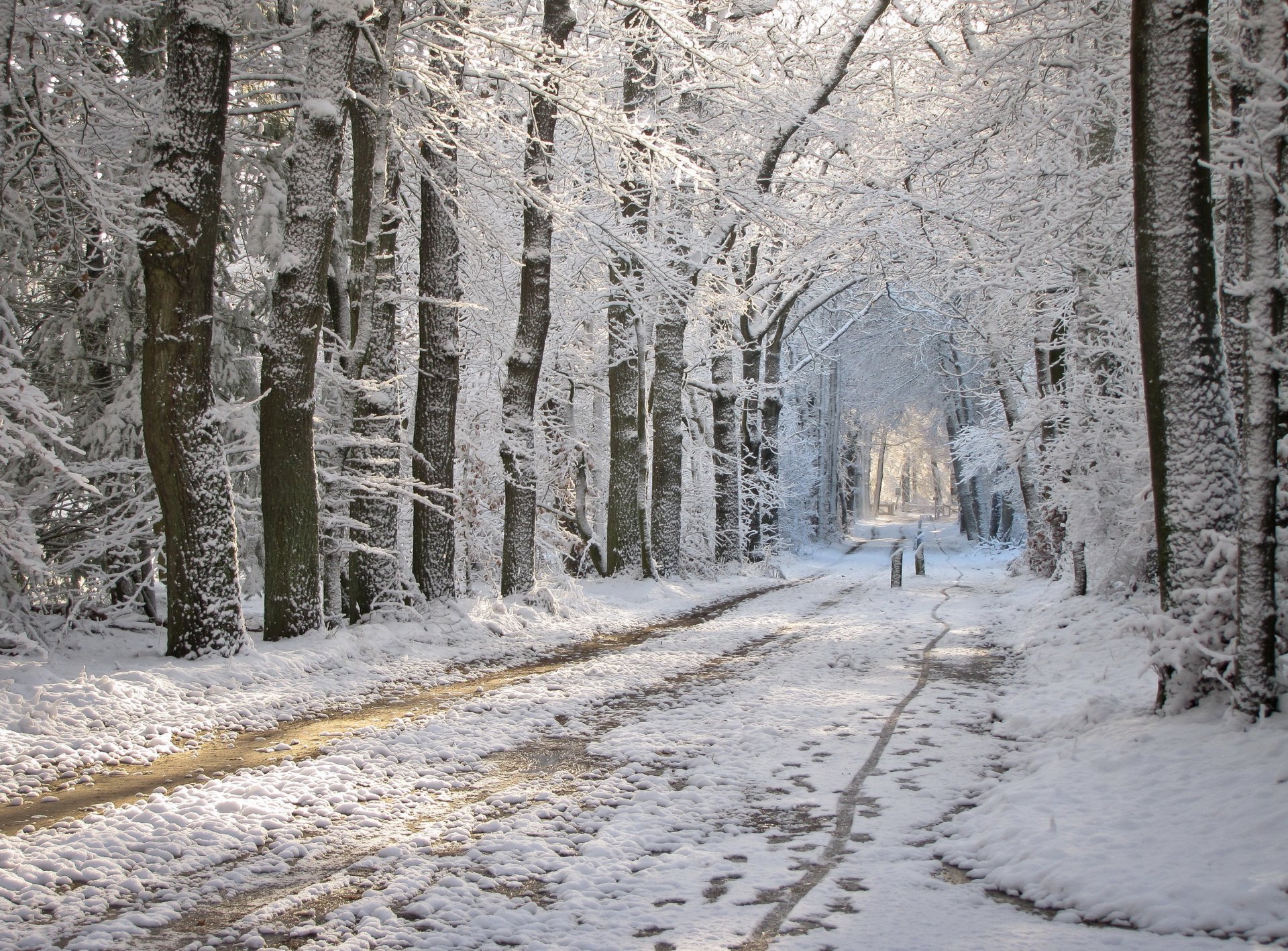 inverno parco strada neve scivoli