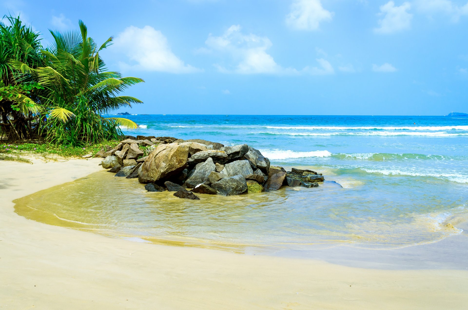 tropisch paradies strand palmen meer ozean sonne sommer urlaub tropen sand ufer