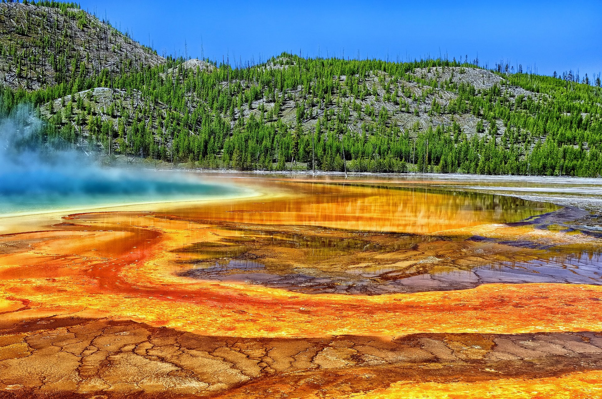 große prismatische quelle yellowstone-nationalpark wyoming yellowstone heiße quelle bäume