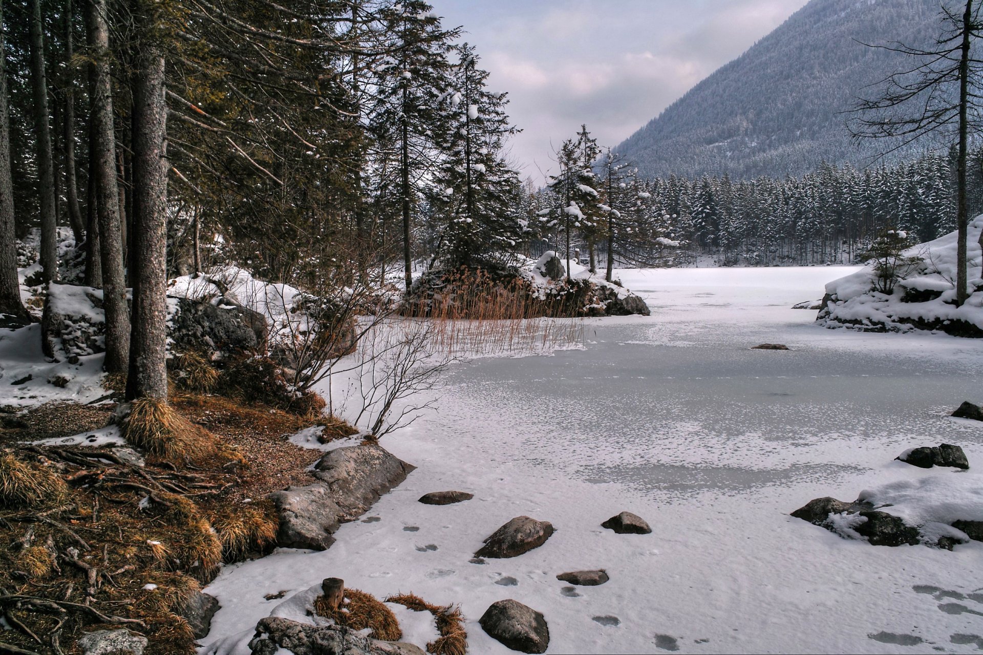 cielo montagne inverno alberi lago ghiaccio neve natura