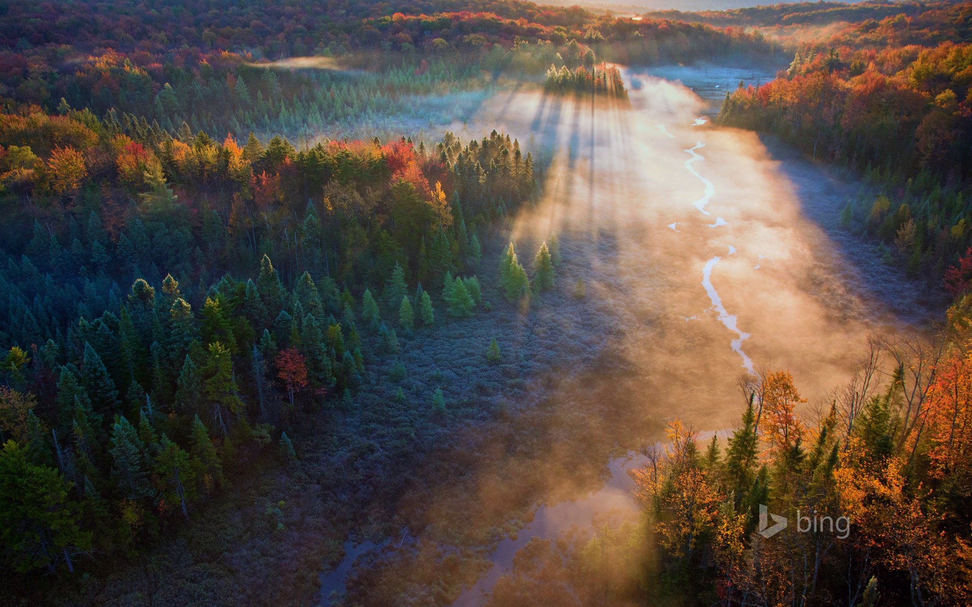 beaver prato green mountain national preserve vermont stati uniti d america foresta alberi fiume tramonto raggi autunno