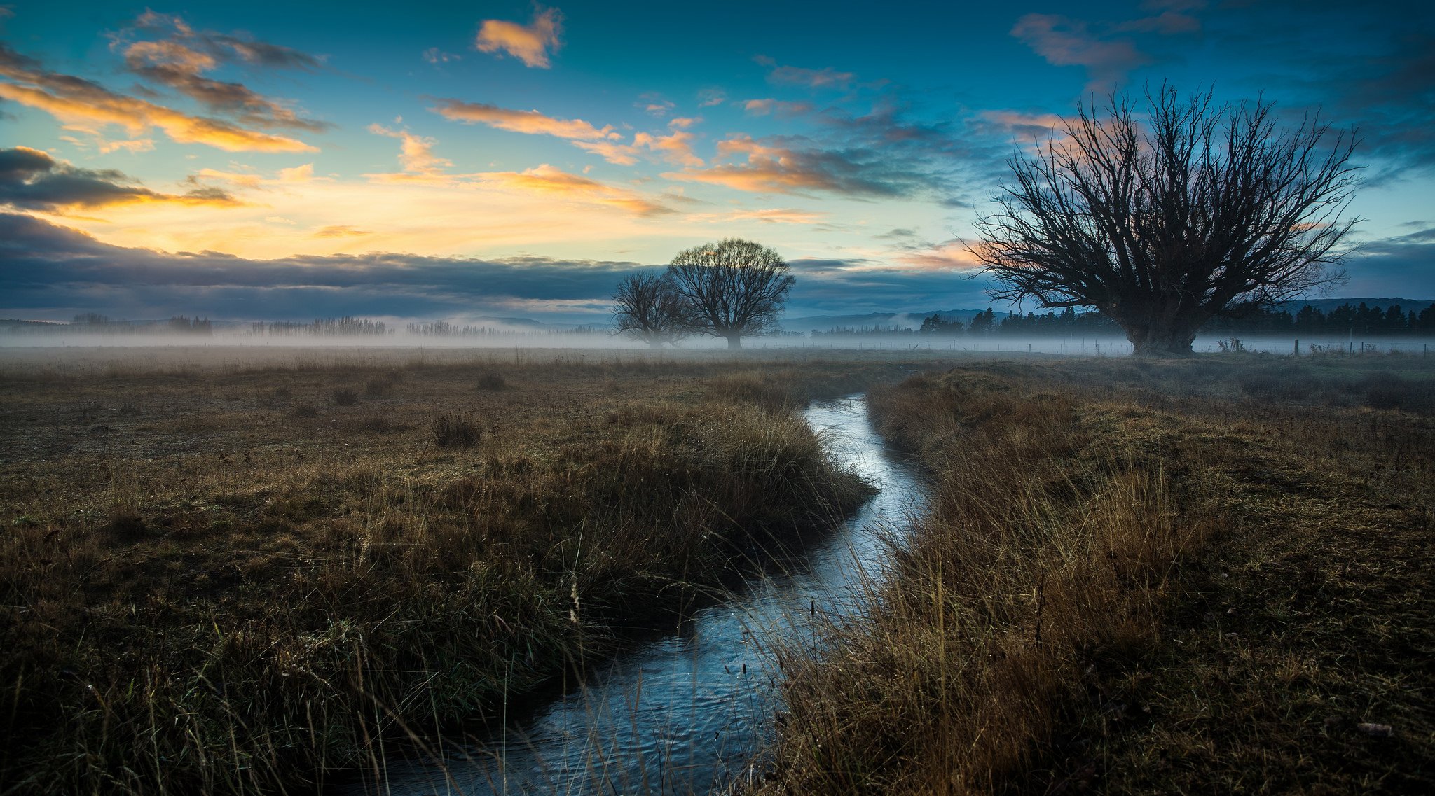 cielo nuvole bagliore campo nebbia ruscello alberi