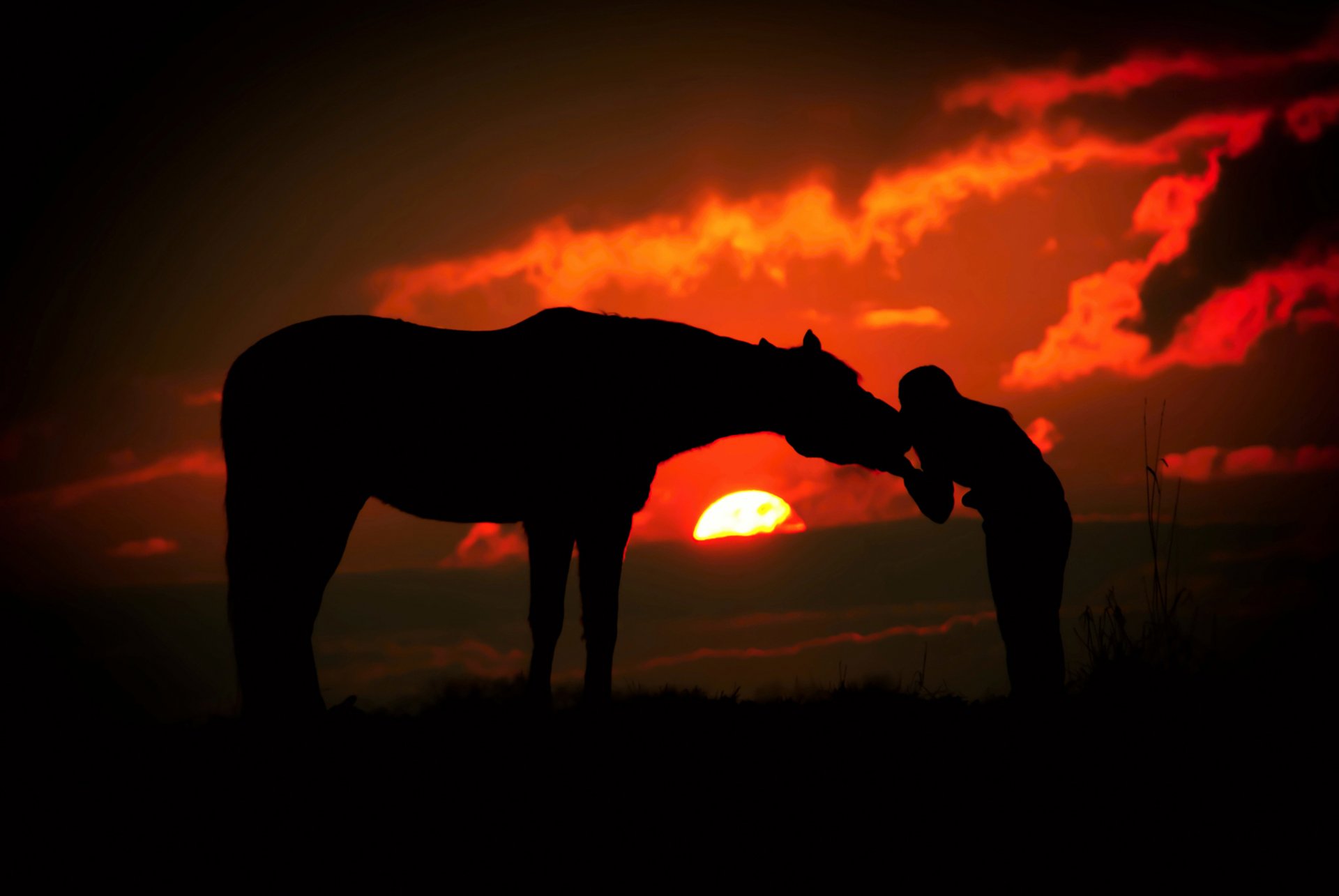 ilhouettes girl sunset horse clouds sun