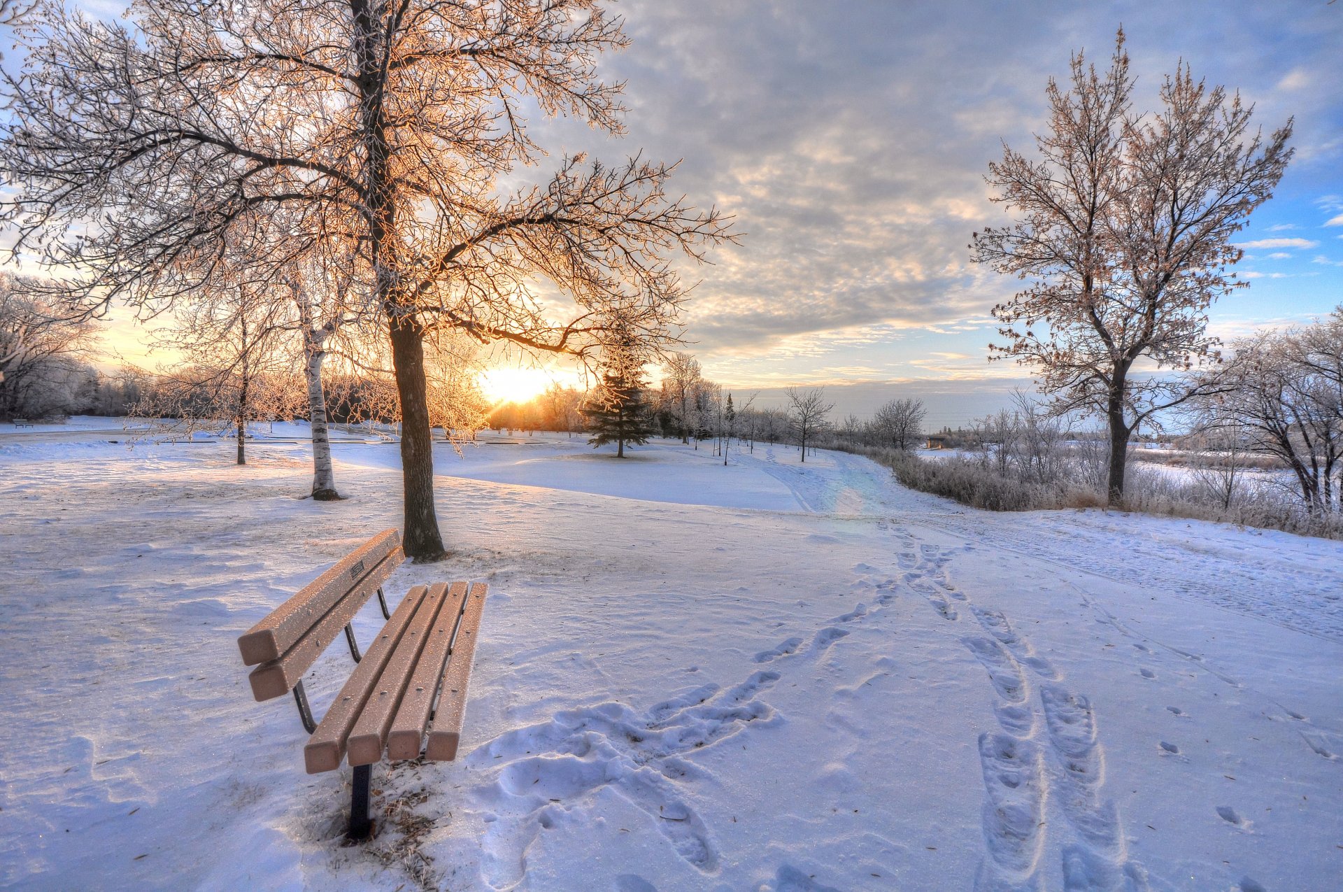 hiver neige banc