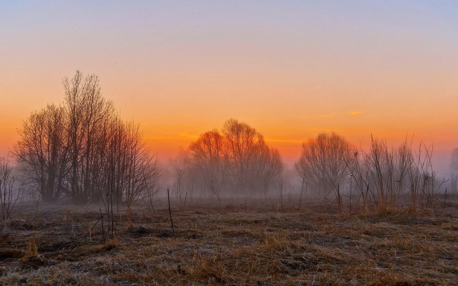 campo puesta de sol niebla paisaje