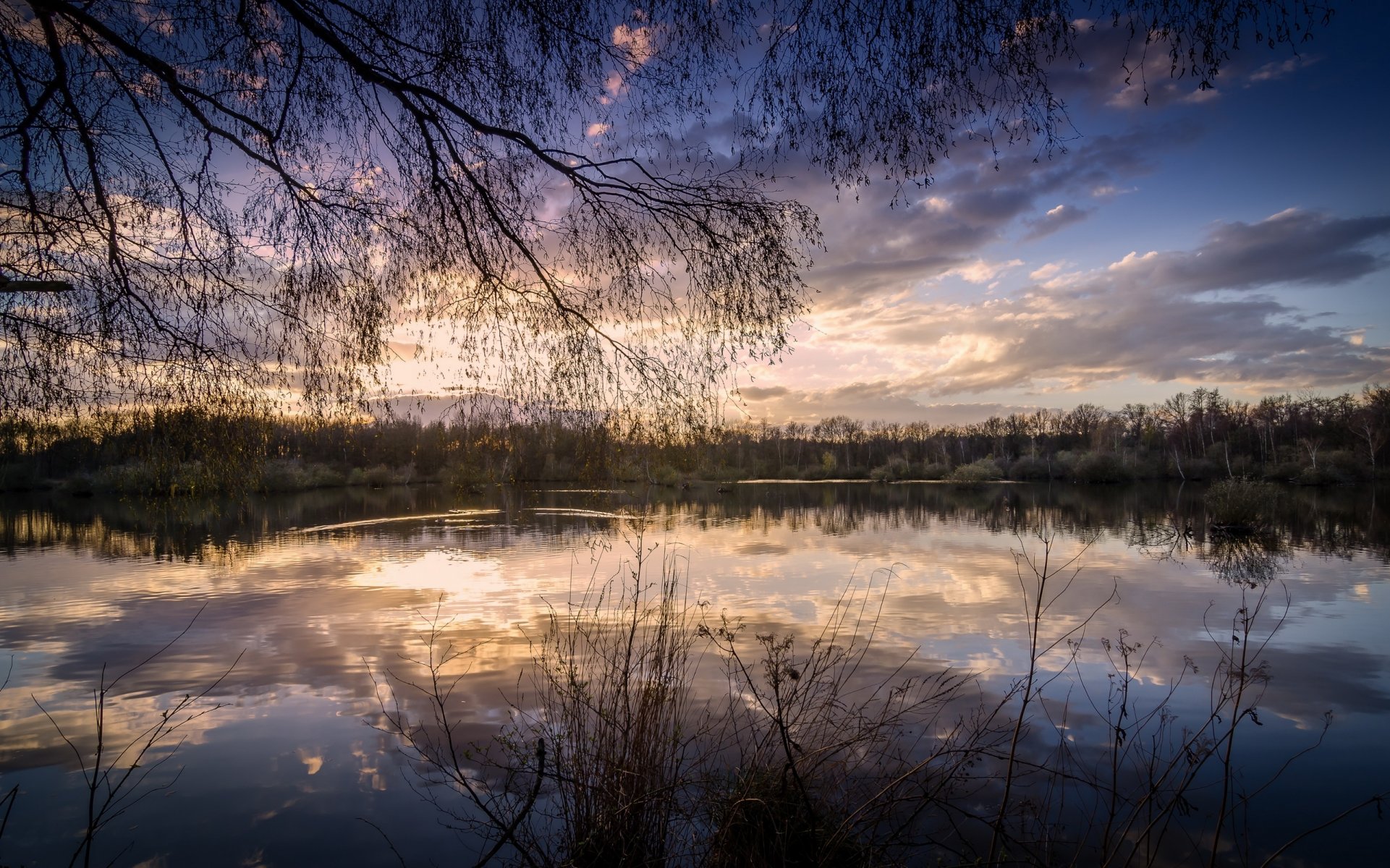 forêt lac réflexion