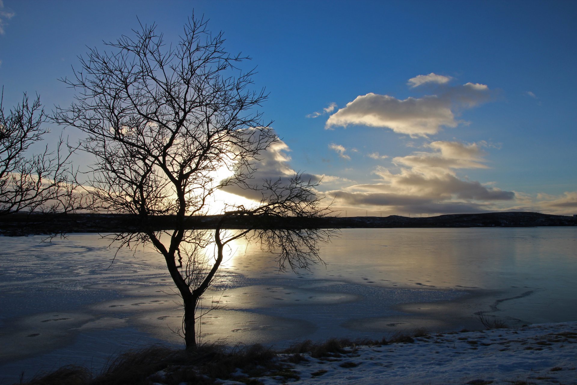 lago ghiaccio inverno albero sole nuvola tramonto