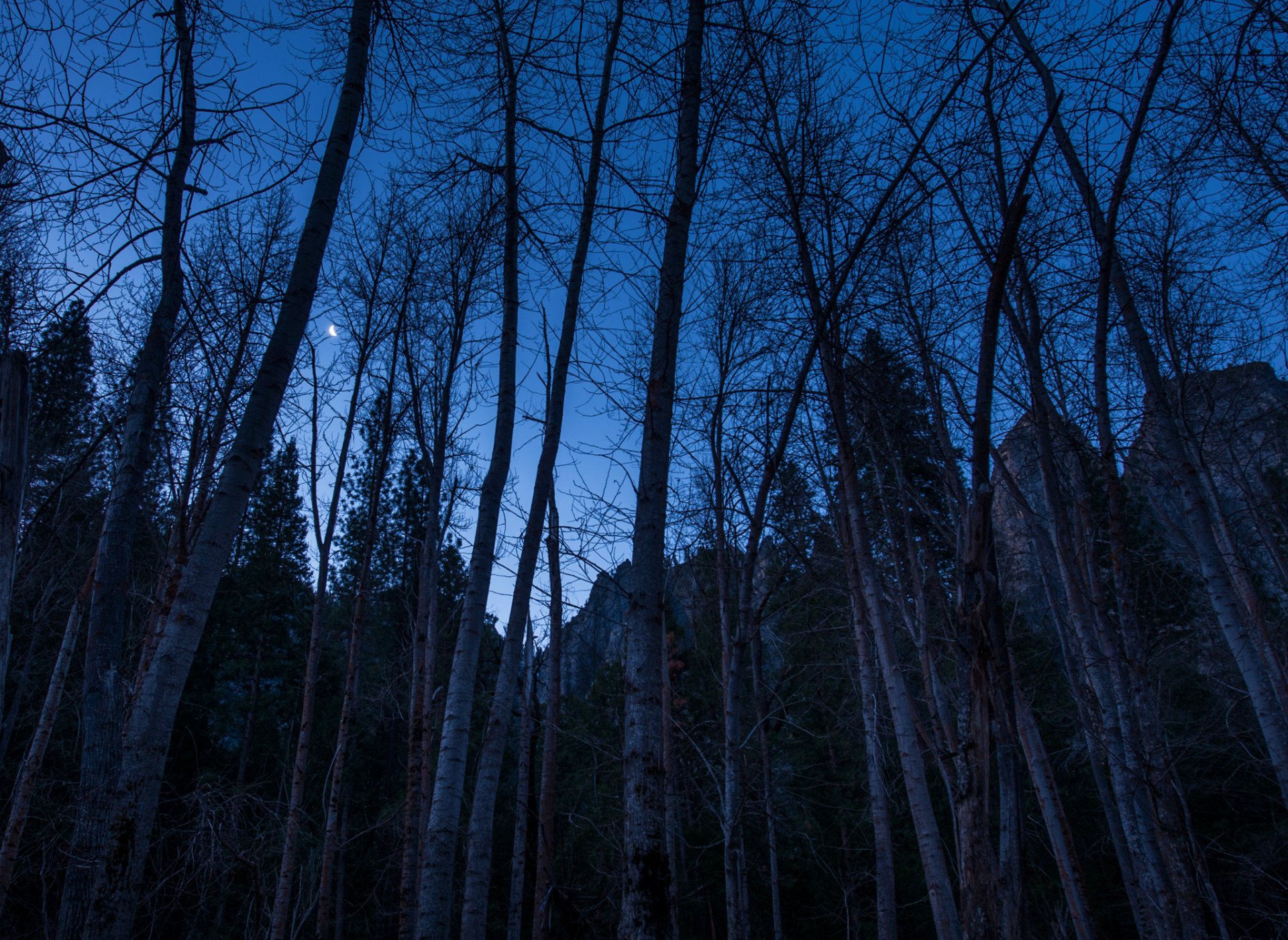 night sky moon year tree mountain rock