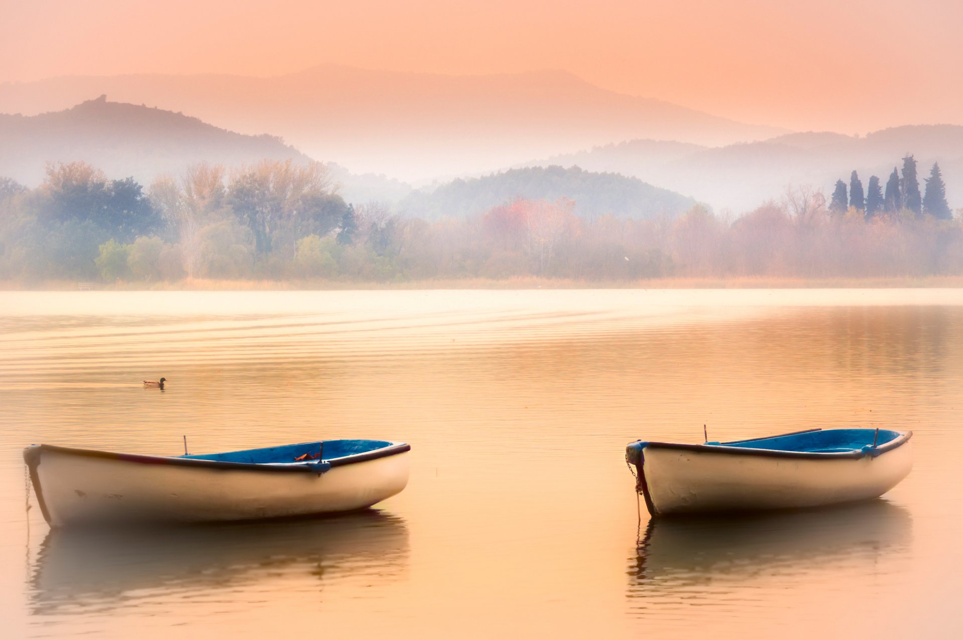 ciel montagnes lac brouillard bateaux canard