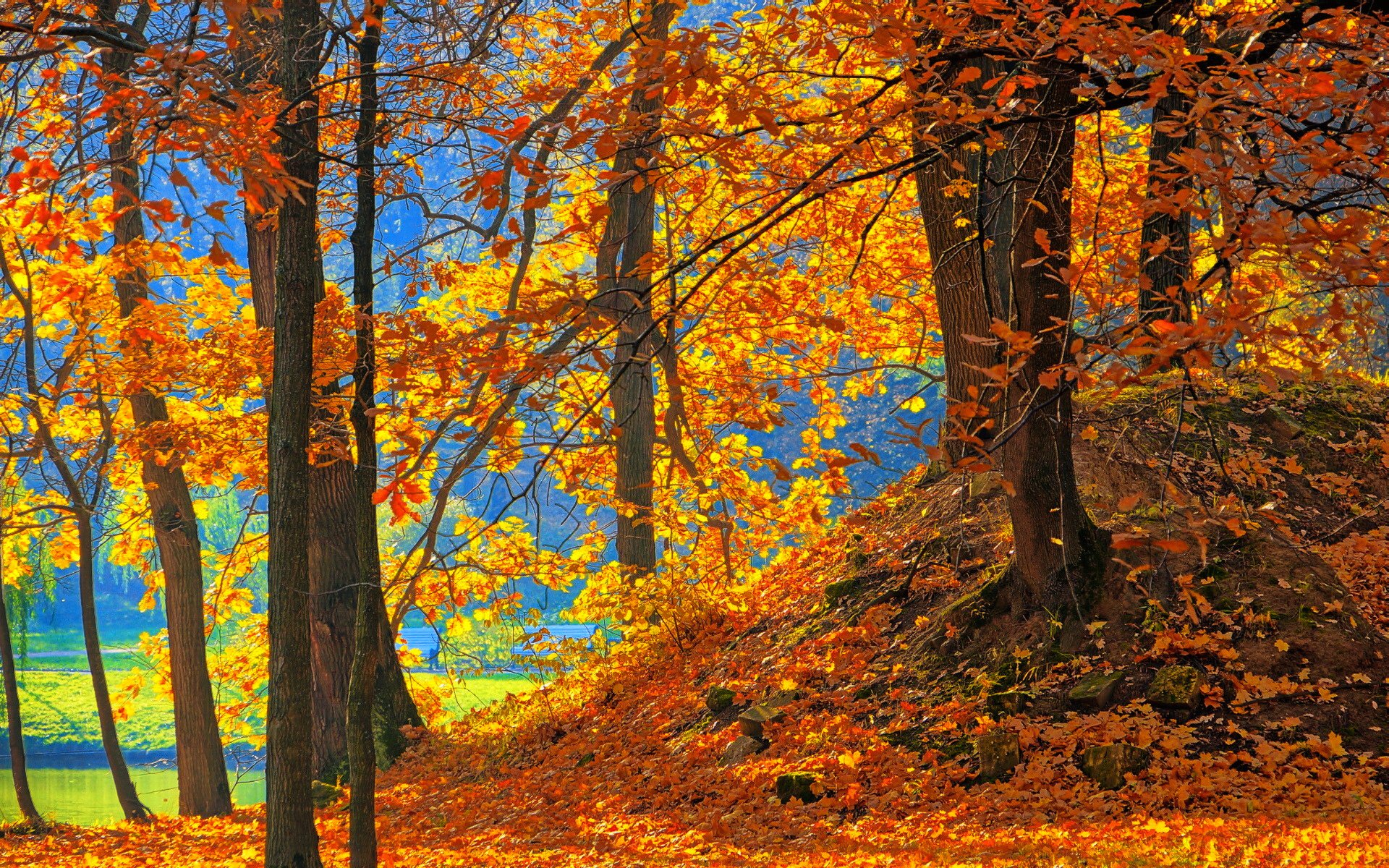 parco stagno panchina alberi foglie autunno