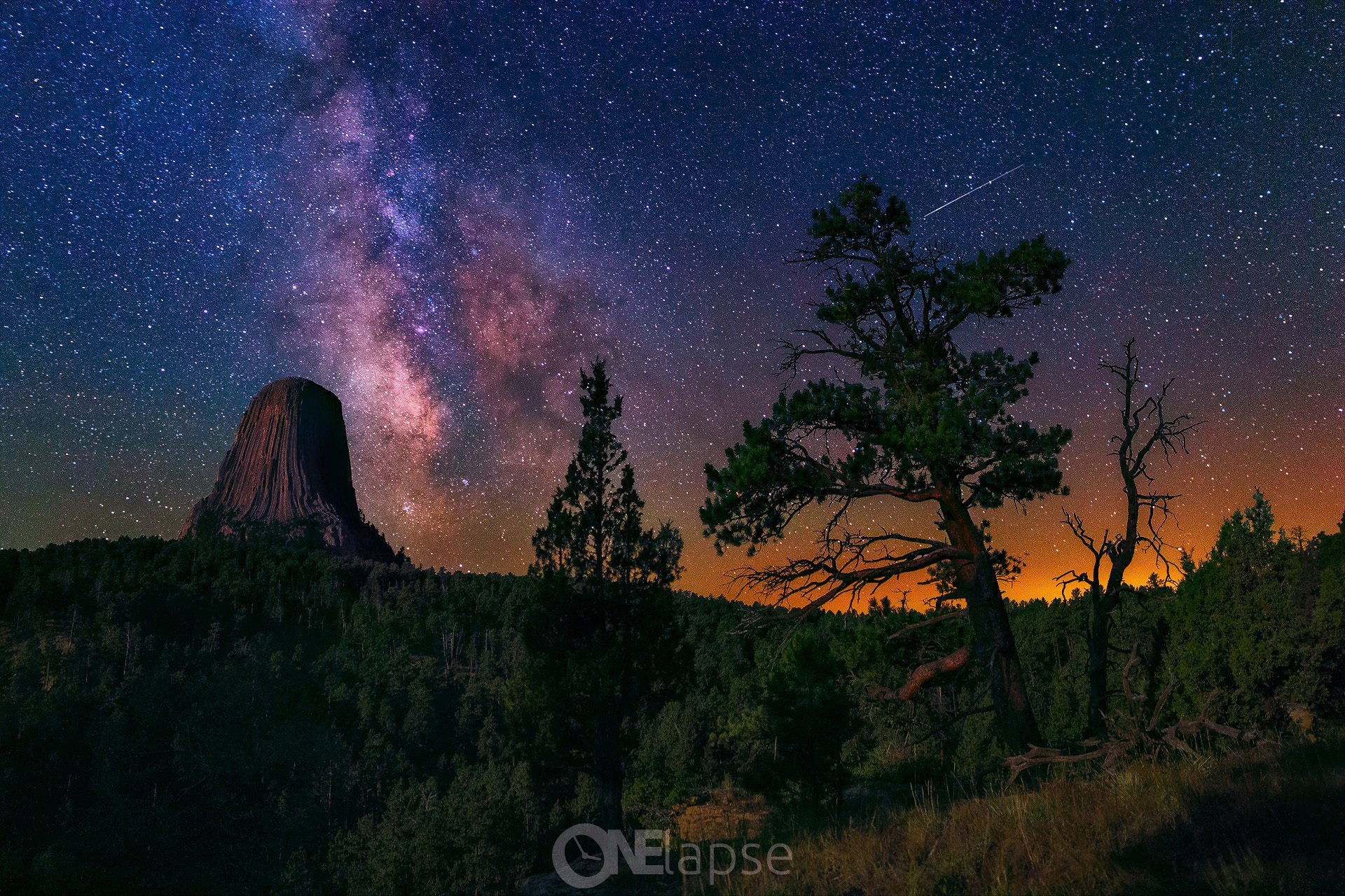 stati uniti wyoming monumento naturale torre del diavolo foresta notte cielo stelle via lattea