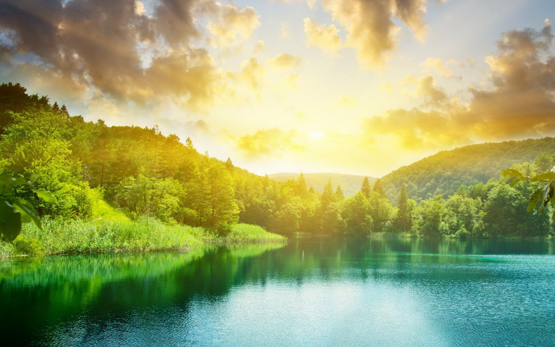 forêt coucher de soleil lac