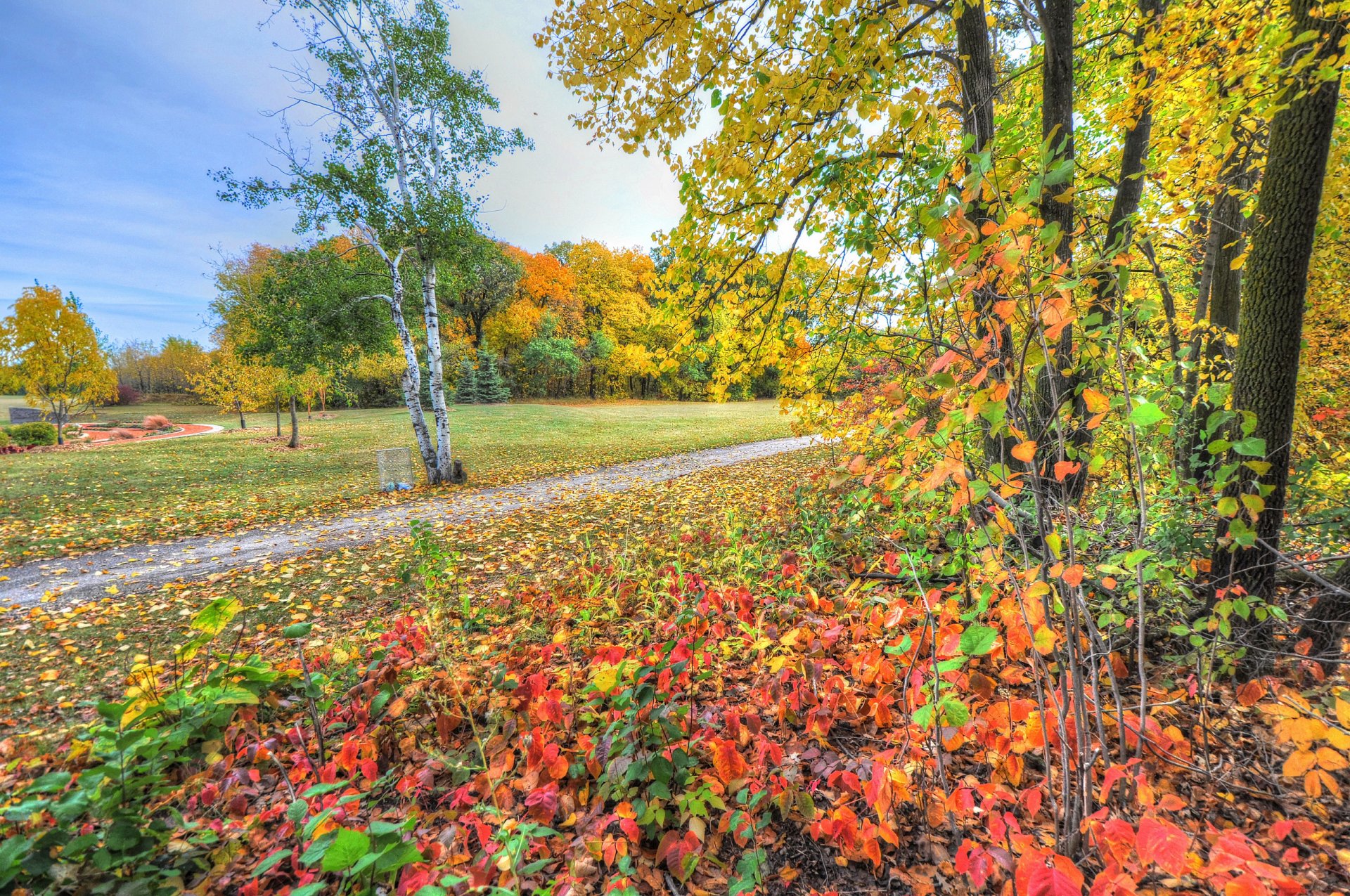 park drzewa trawa ścieżka liście jesień niebo