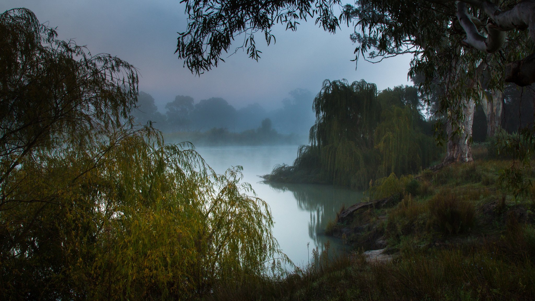 südaustralien murray river nebliger morgen