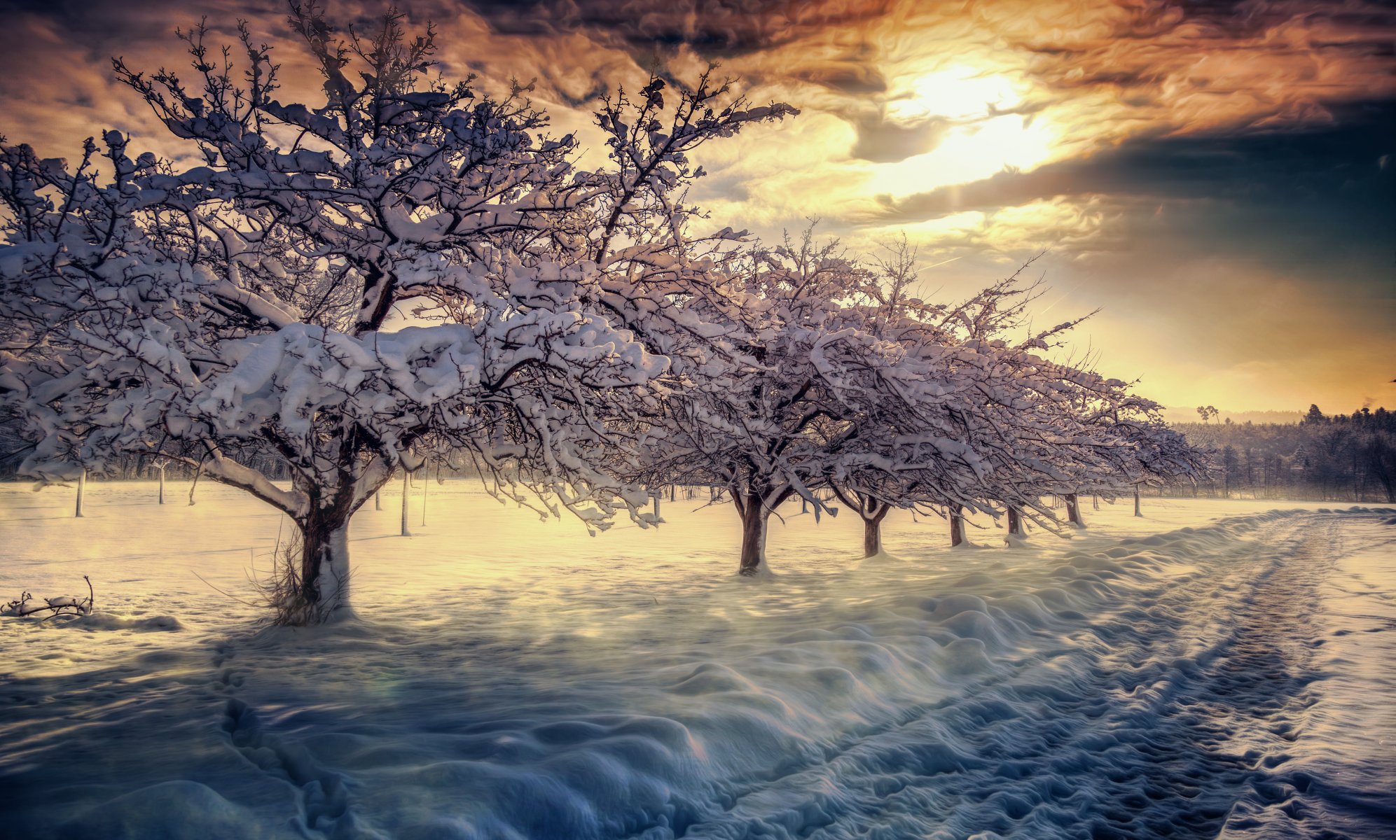 naturaleza cielo nubes amanecer nieve invierno paisaje