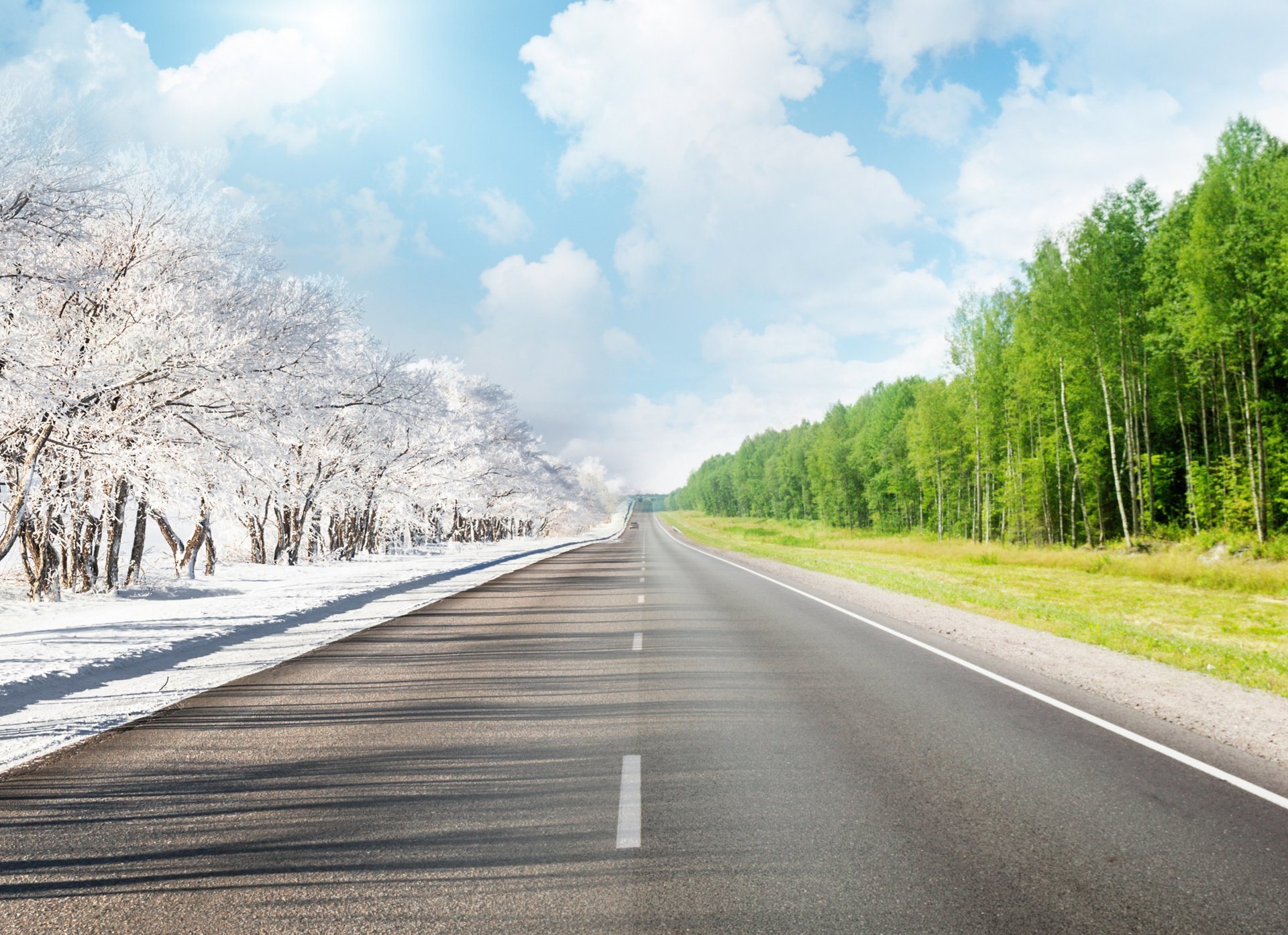 road counting summer winter tree sky