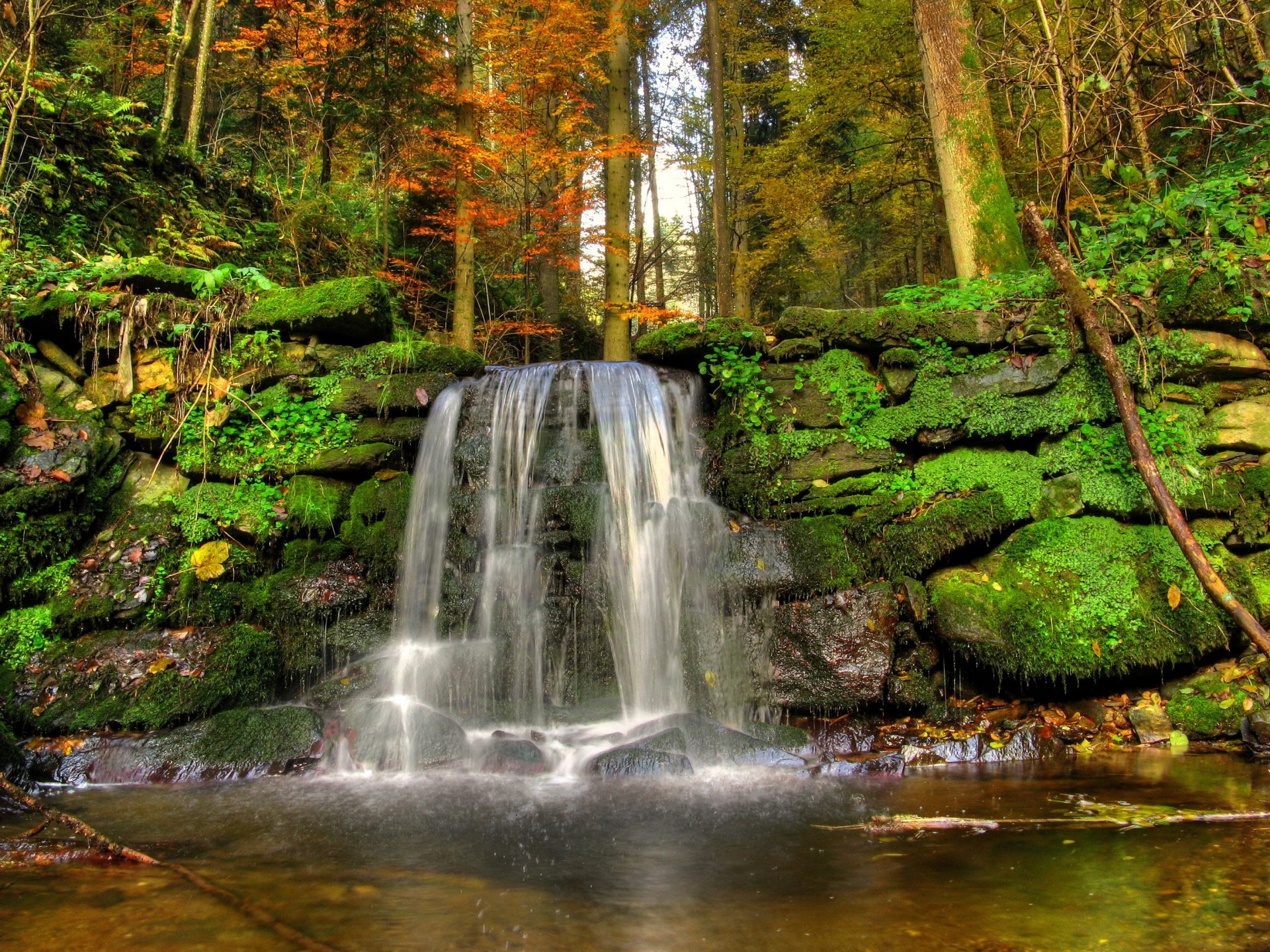 waterfall forest stones landscape moss creek tree nature